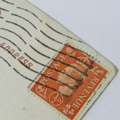 Real photograph Dogs postcard from Edgware England to Cape Town South Africa 21 January 1951