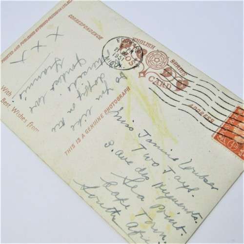 Real photograph Dogs postcard from Edgware England to Cape Town South Africa 21 January 1951