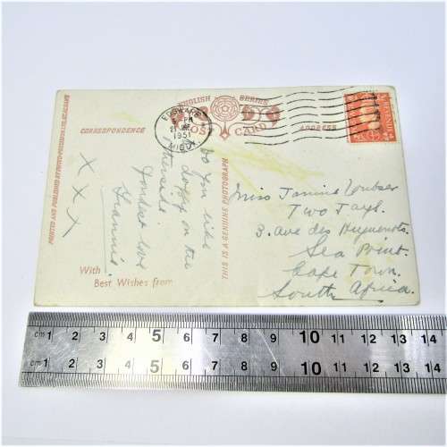 Real photograph Dogs postcard from Edgware England to Cape Town South Africa 21 January 1951