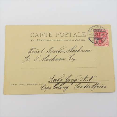 1903 Postcard Germany to Lady Grey, South Africa - Picture of girl with dog