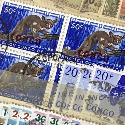 Collection of Congo Republic Lot of Unresearched stamps