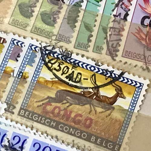 Collection of Congo Republic Lot of Unresearched stamps