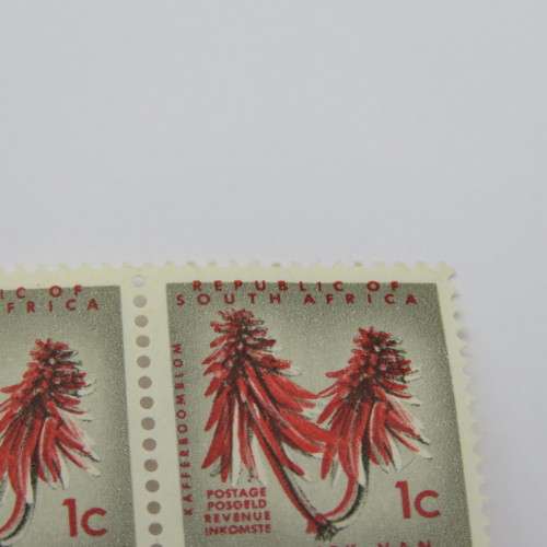 South Africa 1 c `Kafferboomblom` stamp with upward shift of the red printing