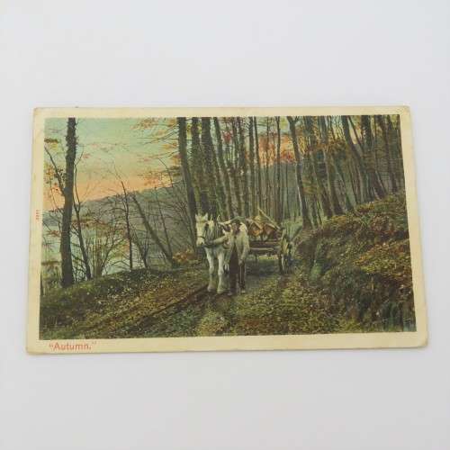 1913 Postcard posted from Uitenhage to Despatch - Picture of horse and cart in color