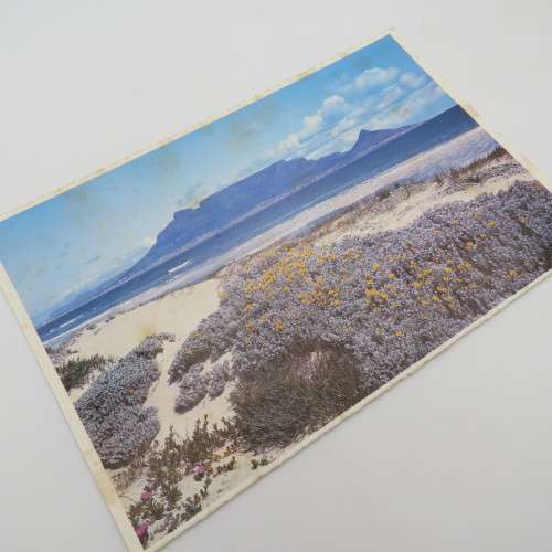 Lot of 3 vintage postcards with Cape wild flowers