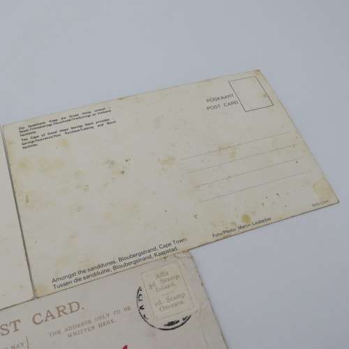 Lot of 3 vintage postcards with Cape wild flowers