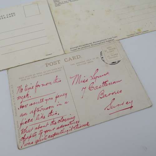 Lot of 3 vintage postcards with Cape wild flowers