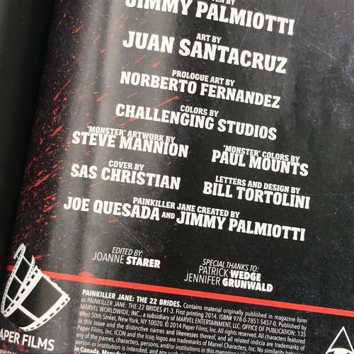 Painkiller Jane: The 22 brides graphic novel by Jimmy Palmotti