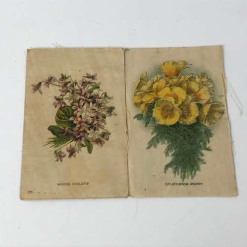 Lot of 9 silk cigarette cards - flowers, dog breeds, flags