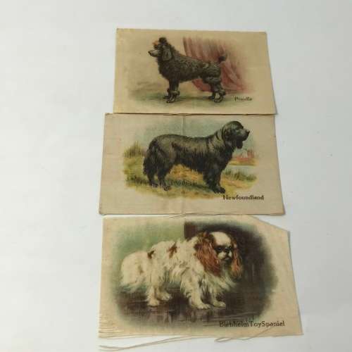 Lot of 9 silk cigarette cards - flowers, dog breeds, flags