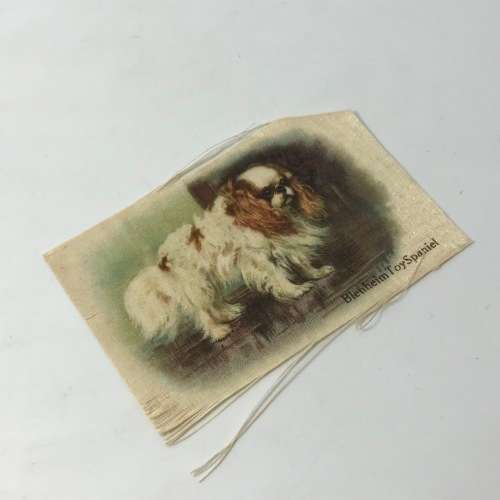 Lot of 9 silk cigarette cards - flowers, dog breeds, flags