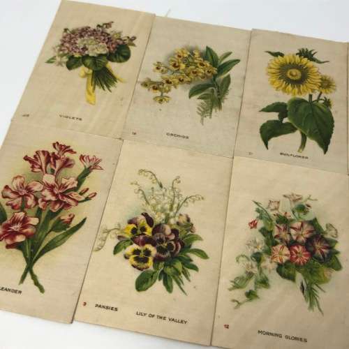Lot of 25 Garden flowers of the world Westminster Tabaco silky cigarette cards with paper backing