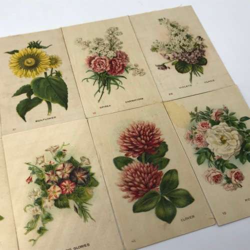 Lot of 25 Garden flowers of the world Westminster Tabaco silky cigarette cards with paper backing