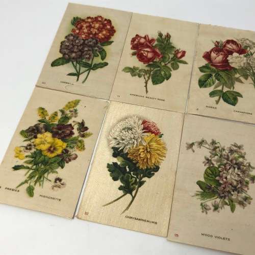 Lot of 25 Garden flowers of the world Westminster Tabaco silky cigarette cards with paper backing