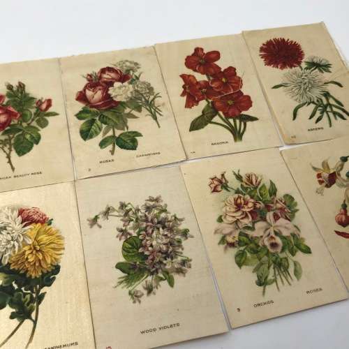 Lot of 25 Garden flowers of the world Westminster Tabaco silky cigarette cards with paper backing