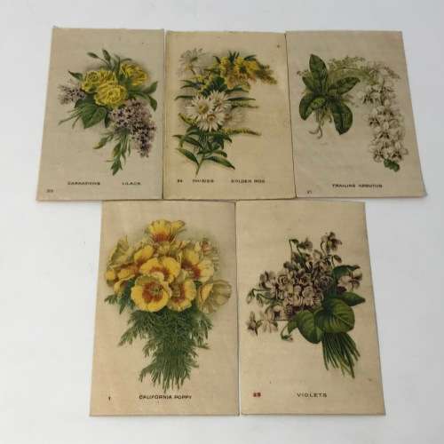 Lot of 25 Garden flowers of the world Westminster Tabaco silky cigarette cards with paper backing
