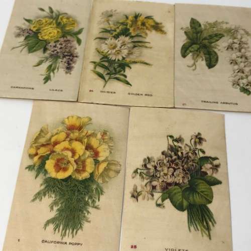 Lot of 25 Garden flowers of the world Westminster Tabaco silky cigarette cards with paper backing