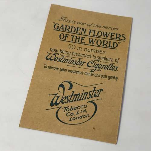 Lot of 25 Garden flowers of the world Westminster Tabaco silky cigarette cards with paper backing