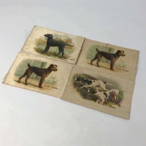 Lot of 16 Best Dogs of their breed silky cigarette cards with paper backing