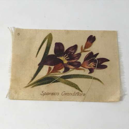 Lot of 17 Flower silk cigarette cards - vintage