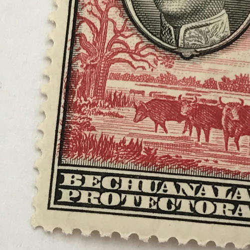 Bechuanaland protectorate SACC 121 mint stamp with 2/6 with color shift of red printing to the left