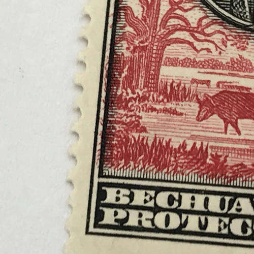 Bechuanaland protectorate SACC 121 mint stamp with 2/6 with color shift of red printing to the left
