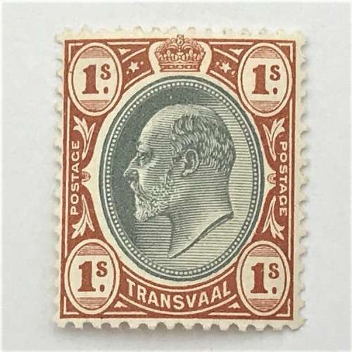 Transvaal 1905 - SACC 273 unmounted mint 1 Shilling stamp