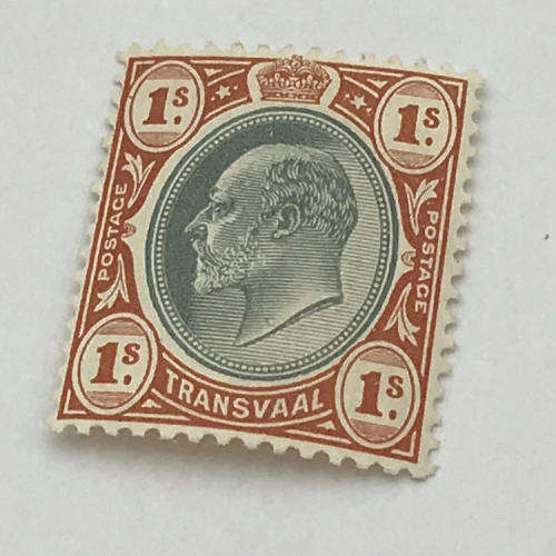 Transvaal 1905 - SACC 273 unmounted mint 1 Shilling stamp