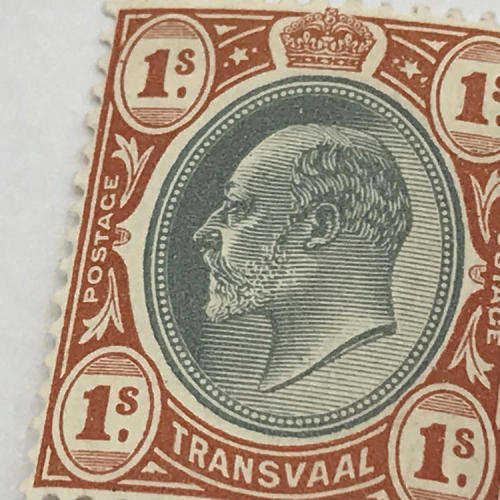 Transvaal 1905 - SACC 273 unmounted mint 1 Shilling stamp
