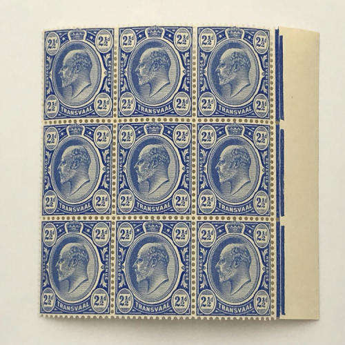 Transvaal SACC 282 block of 9 unmounted mint stamps - at half catalogue