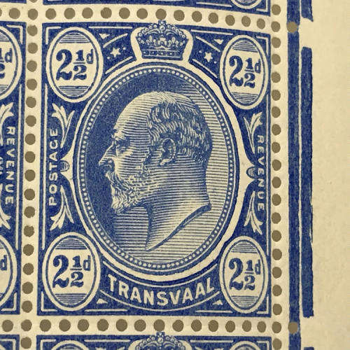 Transvaal SACC 282 block of 9 unmounted mint stamps - at half catalogue