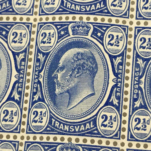 Transvaal SACC 282 block of 9 unmounted mint stamps - at half catalogue