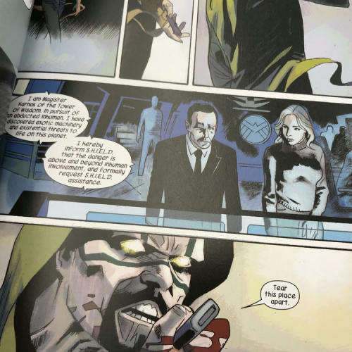 Marvel #113 - Karnak, The flaw in all things graphic novel
