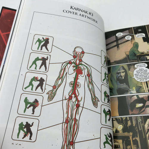 Marvel #113 - Karnak, The flaw in all things graphic novel