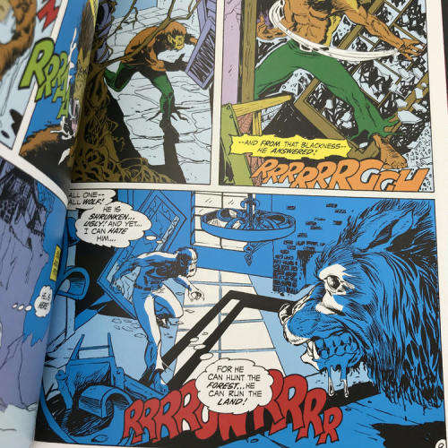 Marvel #21 - Marvel Horror graphic novel