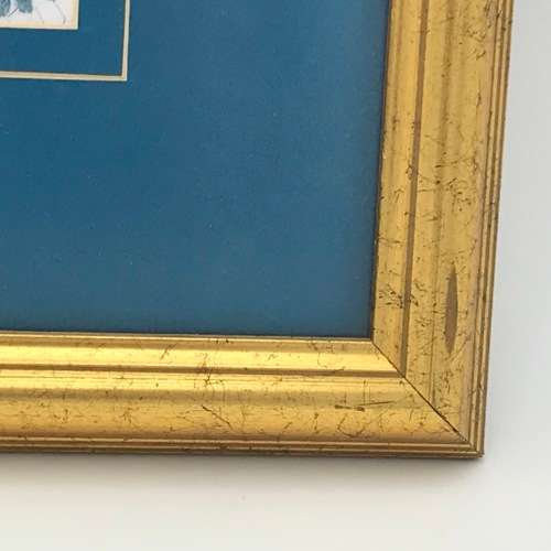 Print in frame of Chives, Basil, Parsley and Rosemary - frame 38 x 38cm and print 16,5 x 16,5cm