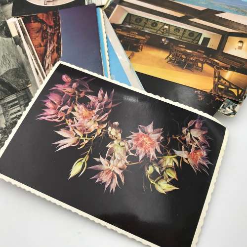 Lot of 60 vintage/antique post cards - used and unused