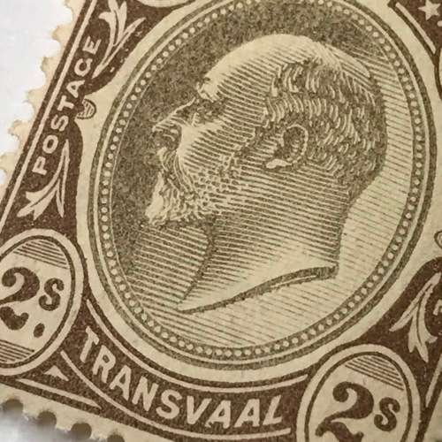 Transvaal SACC 258 unmounted mint KE VII 2 Shilling stamp
