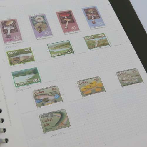 Stamp album with well over 1500 stamps including mint collections of Bophuthatswana and Ciskei