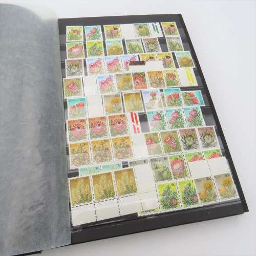Stamp album with 32 pages - Well over 1000 South Africa stamps - Many mint