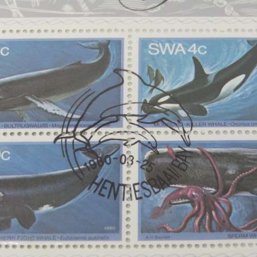 Lot of 40 South West Africa used stamps on 2 cards