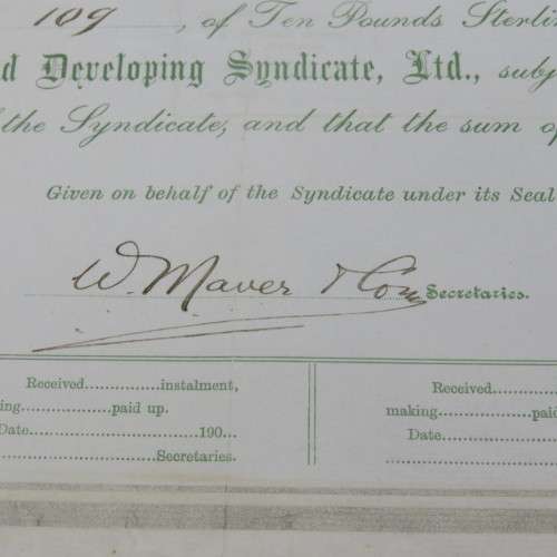One share in the Albany Prospecting developing LTP, Colony of the Cape of Good Hope 1907 - To Martin