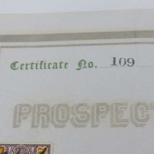 One share in the Albany Prospecting developing LTP, Colony of the Cape of Good Hope 1907 - To Martin