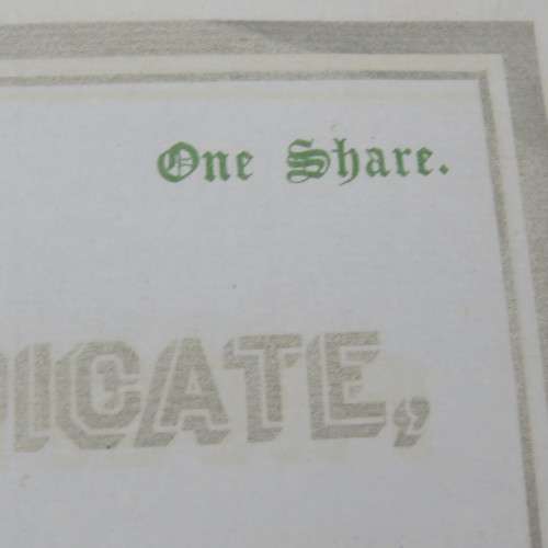 One share in the Albany Prospecting developing LTP, Colony of the Cape of Good Hope 1907 - To Martin