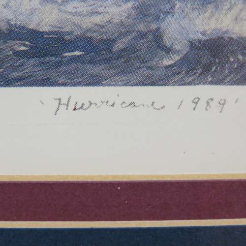 Jeanie Drucker Hurricane 1989, Charleston S.C. print in frame