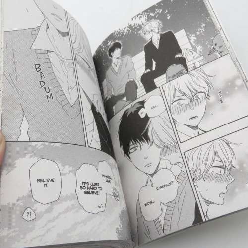 Toritan birds of a feather manga edition graphic novel