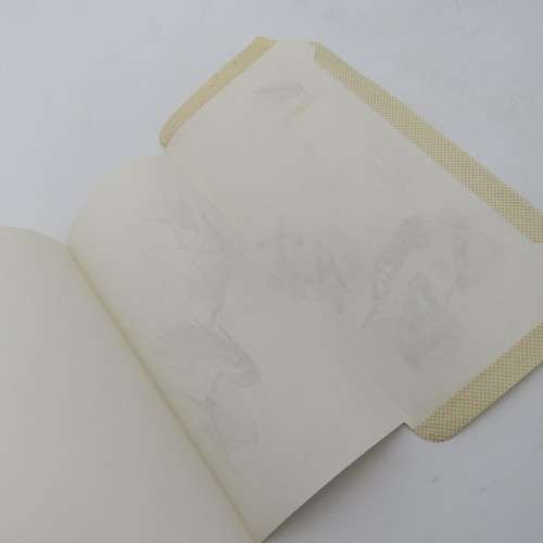 Unused Bird Aerograin with printed 25c stamp upgraded with 2 5c stamps