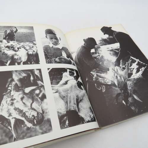 Karoo by Marius Barnard photographs by Anthony Johnson