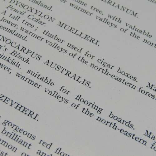 Transvaal Forest Report by De Hutchins 1904 in depth discussion on types of trees