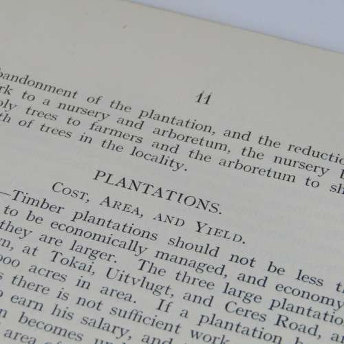 Transvaal Forest Report by De Hutchins 1904 in depth discussion on types of trees